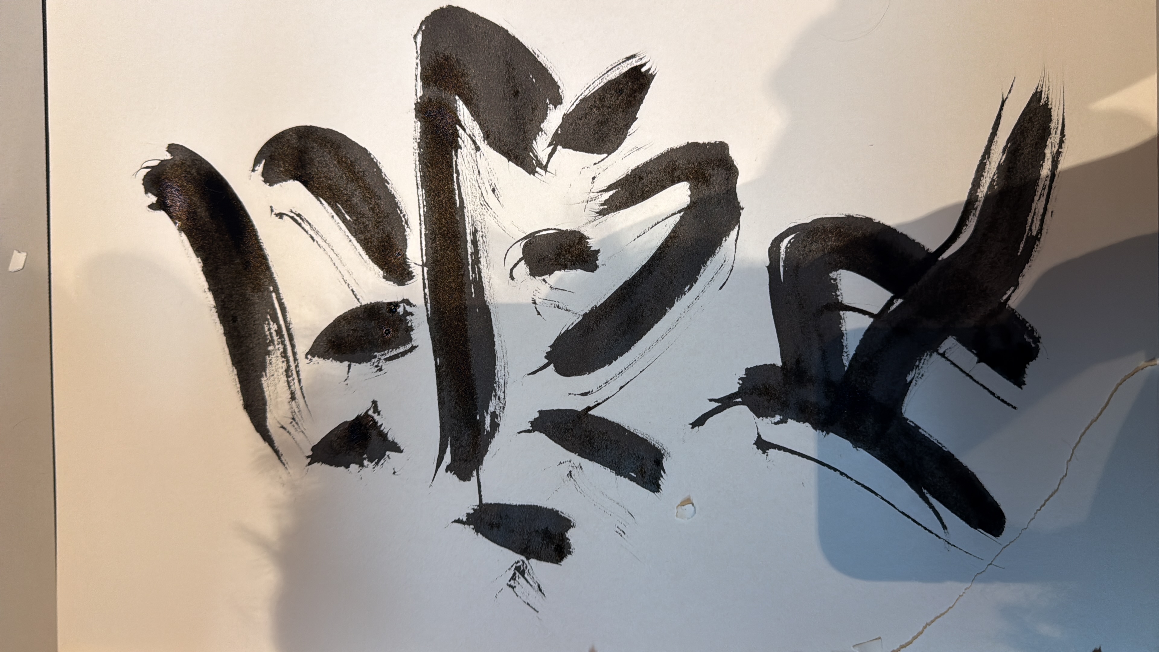 Learning Shodo